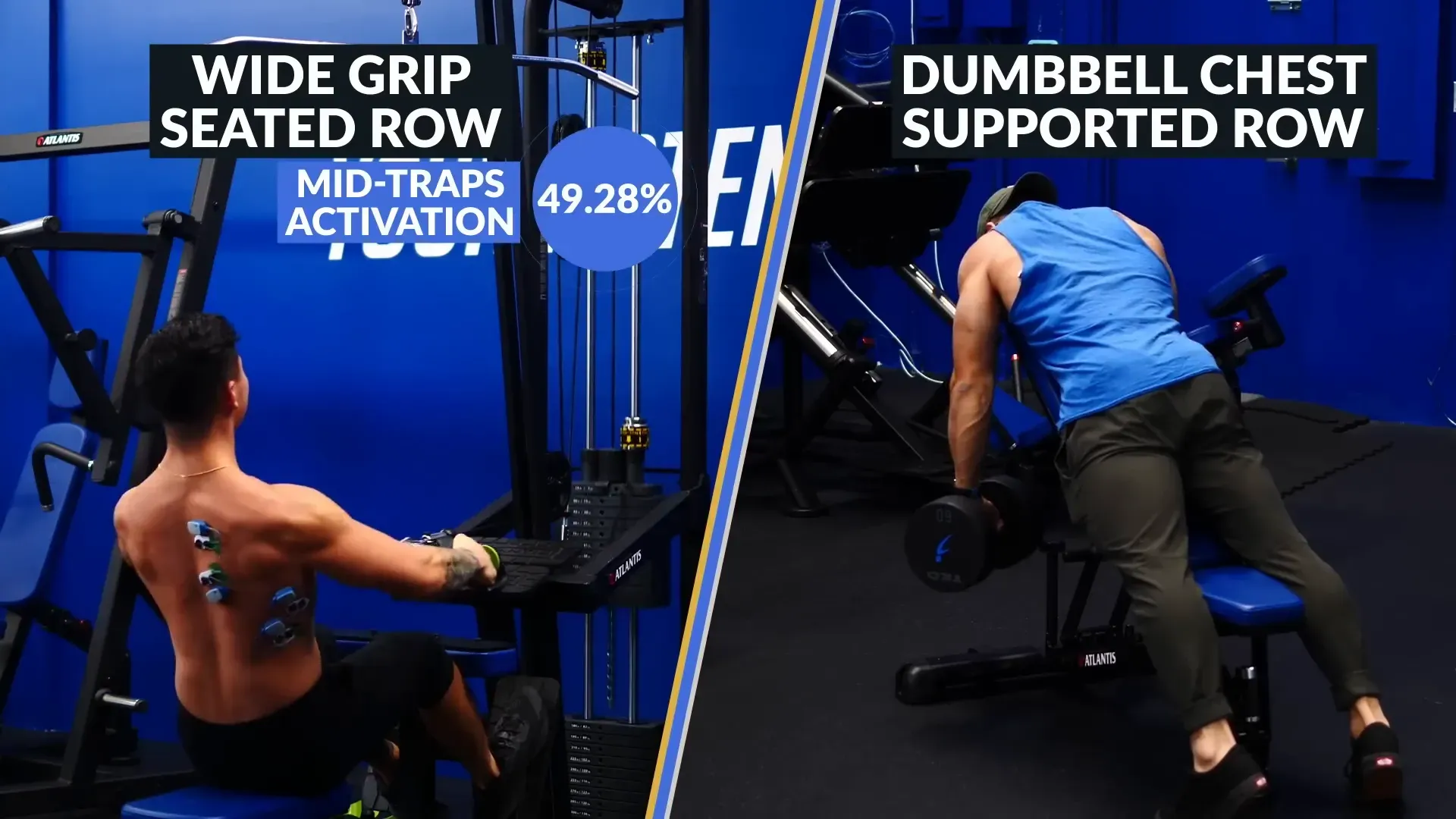 Demonstration of inverted rows and cable rows