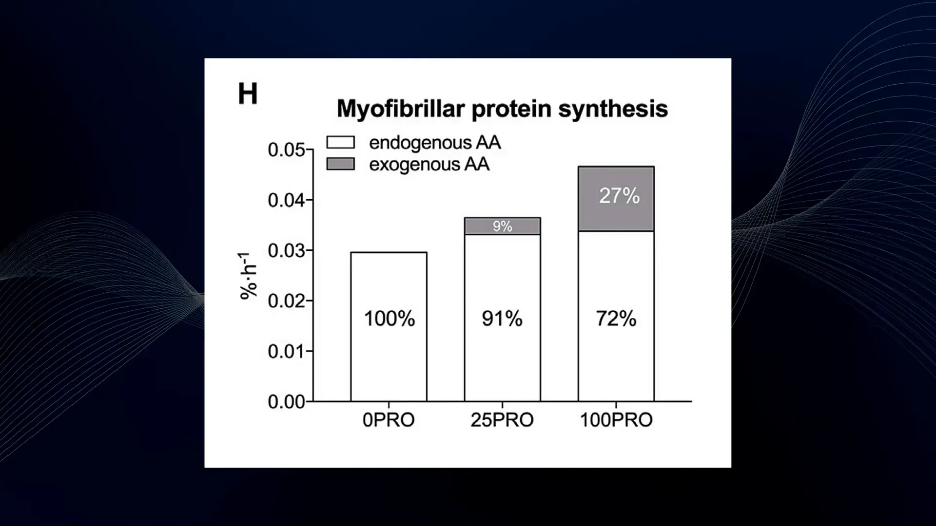 Myofibrillar protein synthesis rates