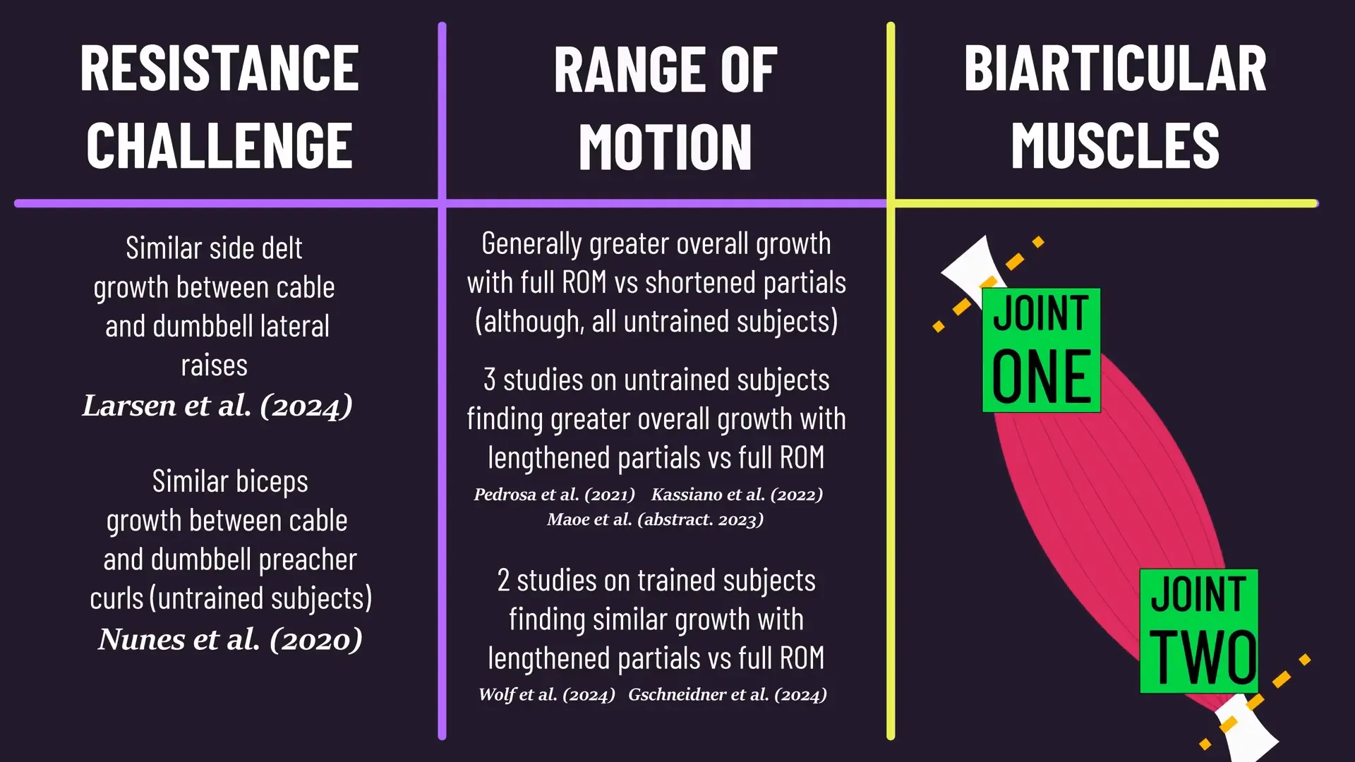 Illustration of biarticular muscles in the body