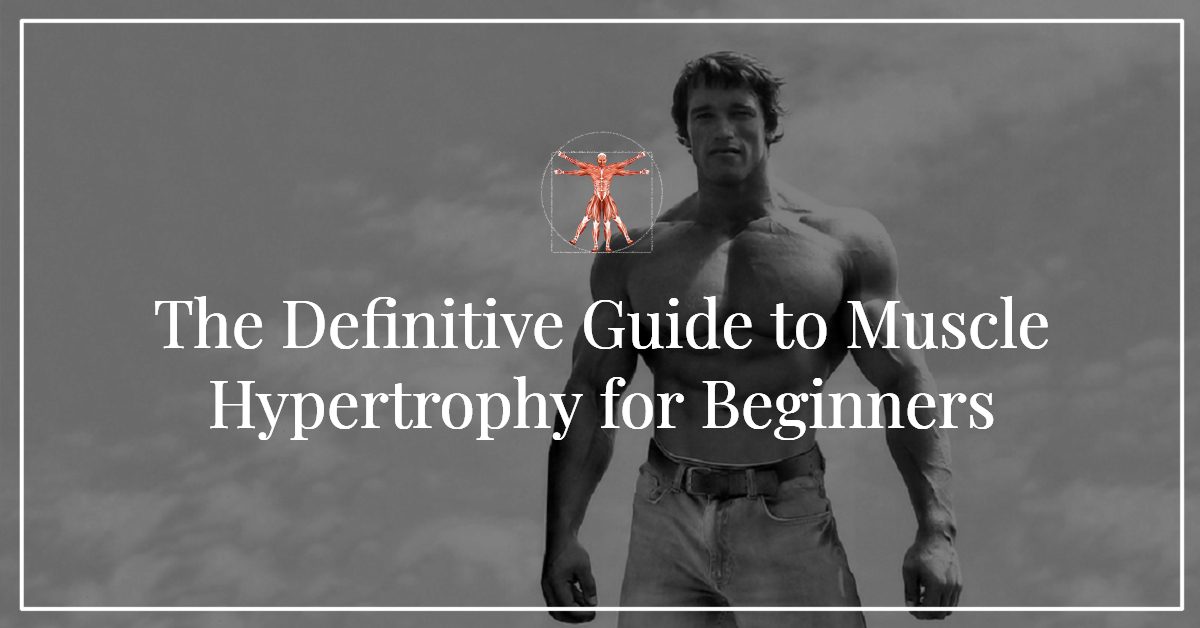 Muscle Hypertrophy Workout for Beginners: Definitive Guide