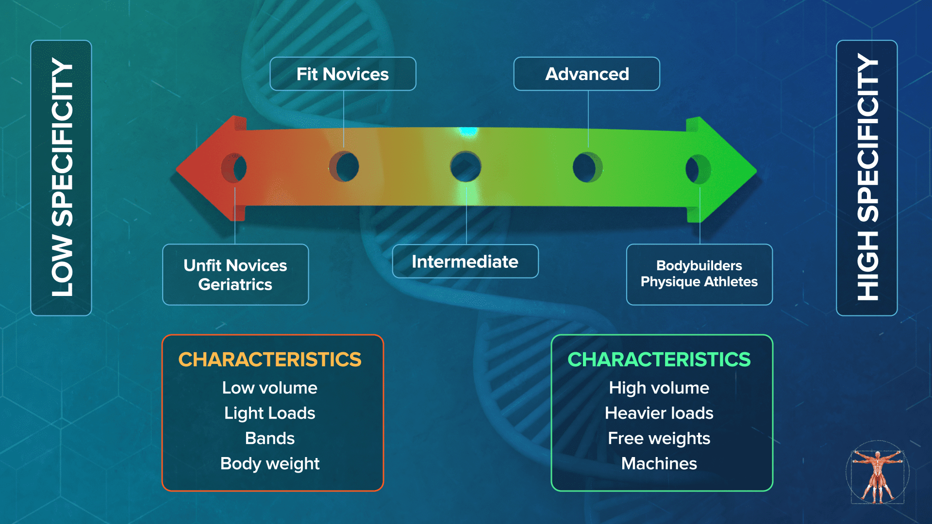 Hypertrophy for dummies