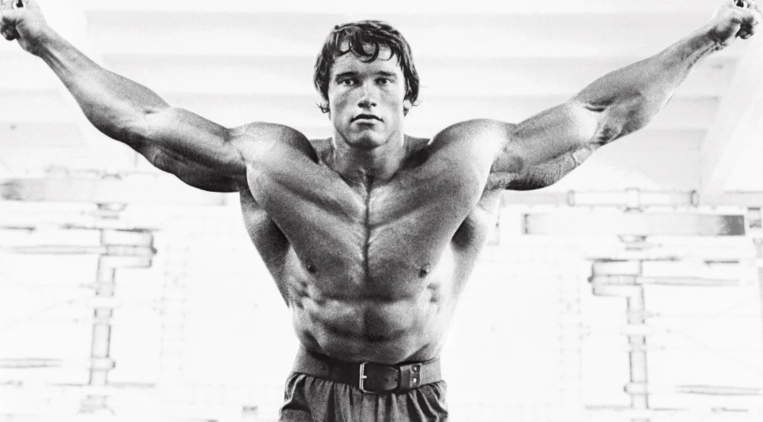 Arnold bodybuilding stretching routine